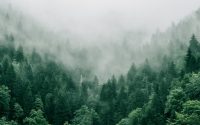 delve sunlight center - The Faith of the Baobab Eye - What Is Ontology? A Beginner's Guide