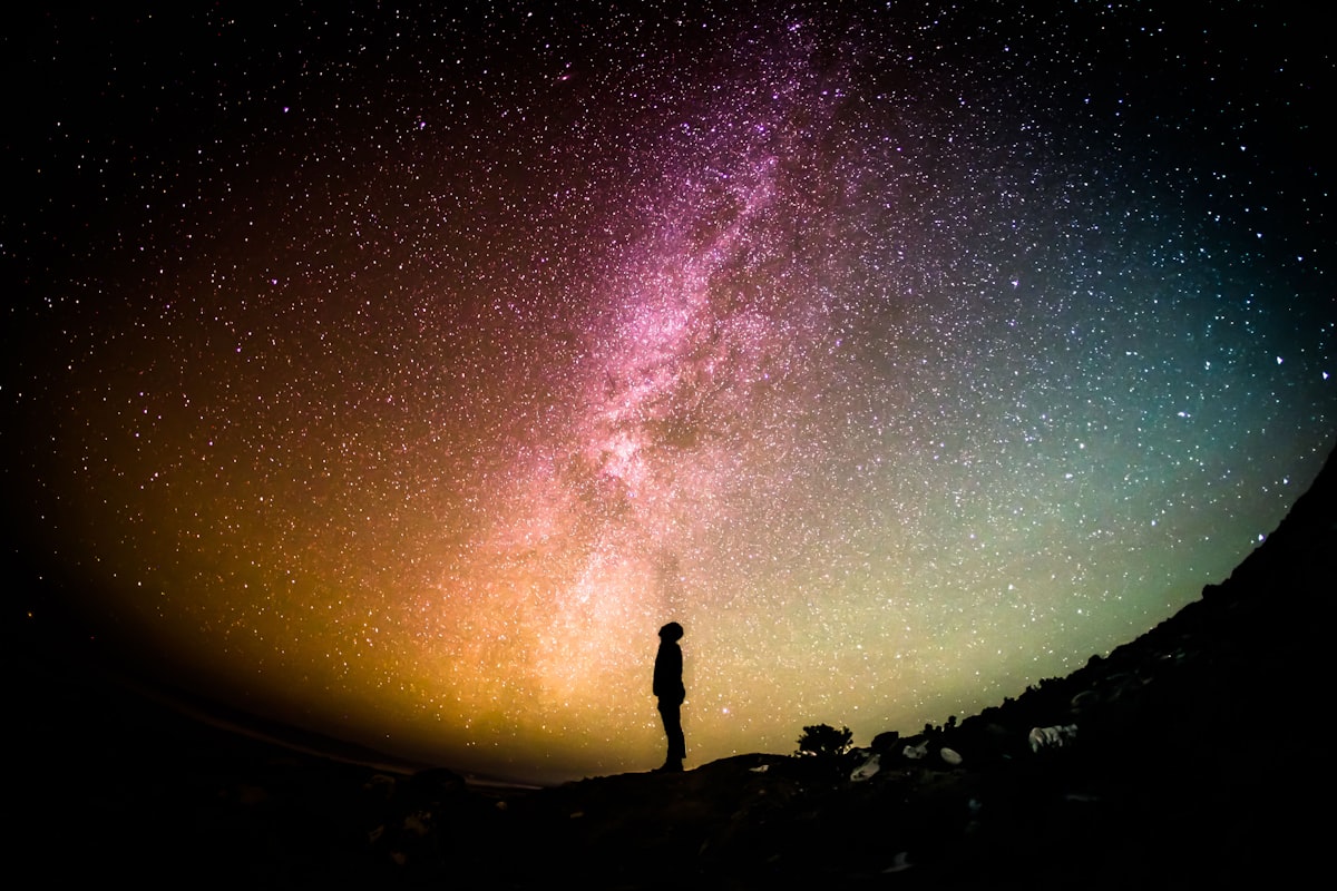Stars burning quietly above dark trees
